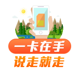 一卡在手